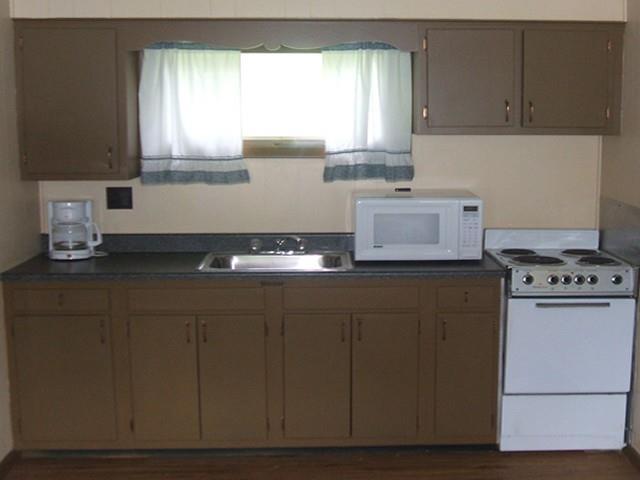 Red Carpet Inn On The Lake - Oneonta Facilidades foto